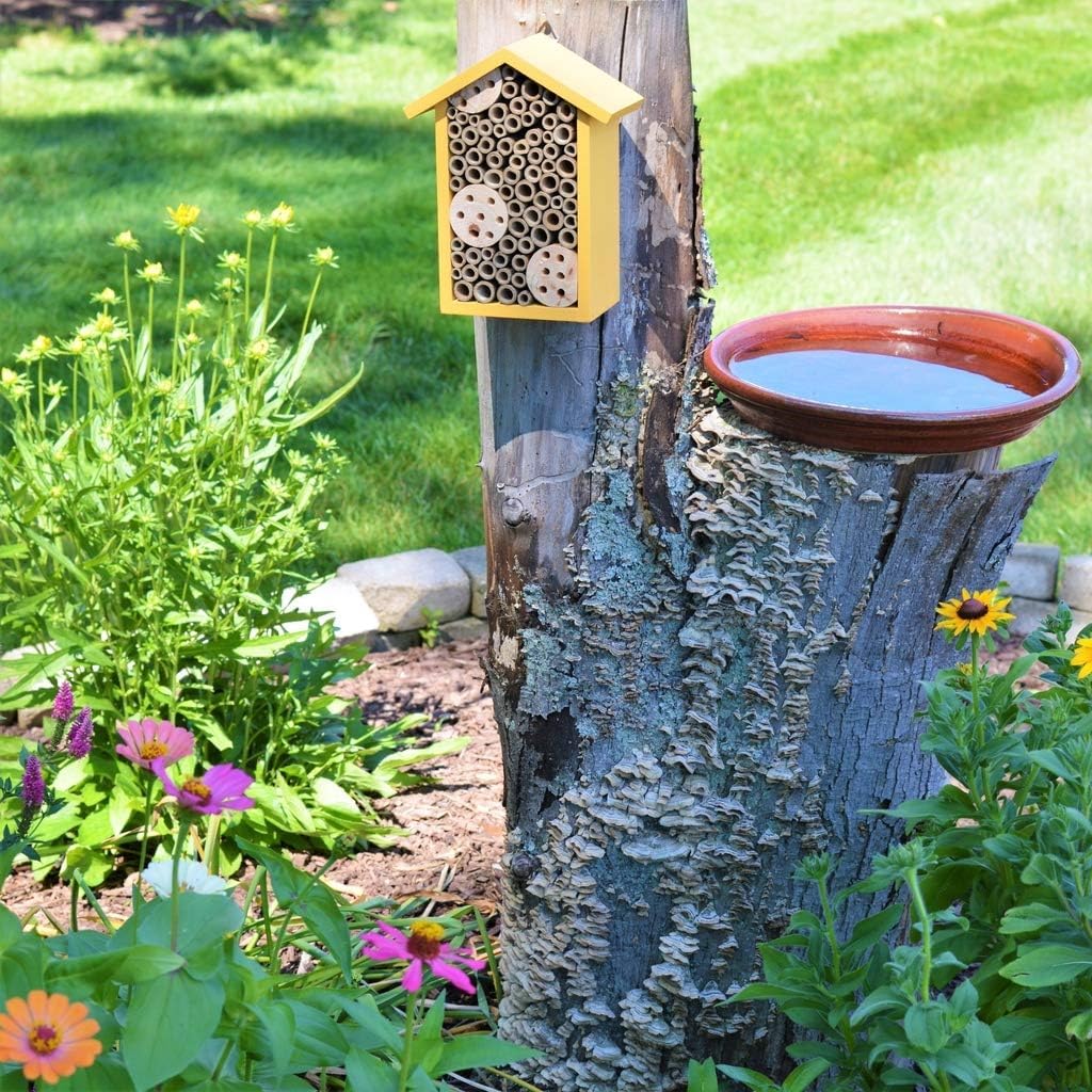 Bird Products PWH1-A Bee House, Yellow