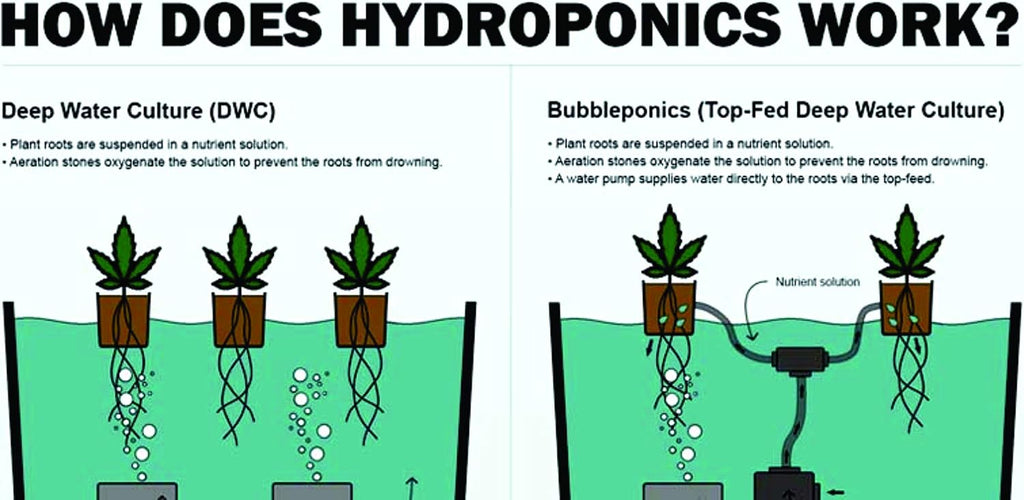 The Atwater HydroPod - Dual DWC Deep Water Culture/Recirculating Drip Hydroponic Garden System - Bubble Bucket