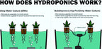 The Atwater HydroPod - DIY Add Your Own Bucket KIT - DWC Deep Water Culture Hydroponic Garden System - Bubble Bucket