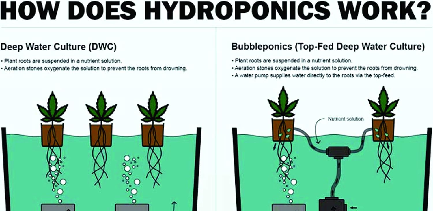 The Atwater HydroPod - DIY Add Your Own Bucket KIT - DWC Deep Water Culture Hydroponic Garden System - Bubble Bucket