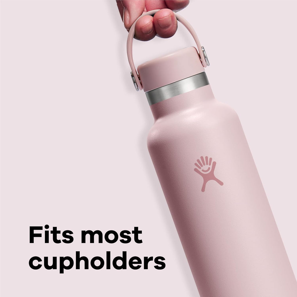 Water Bottle - Insulated Stainless Steel - Non Spill, Leakproof in 24 Oz Agave Green