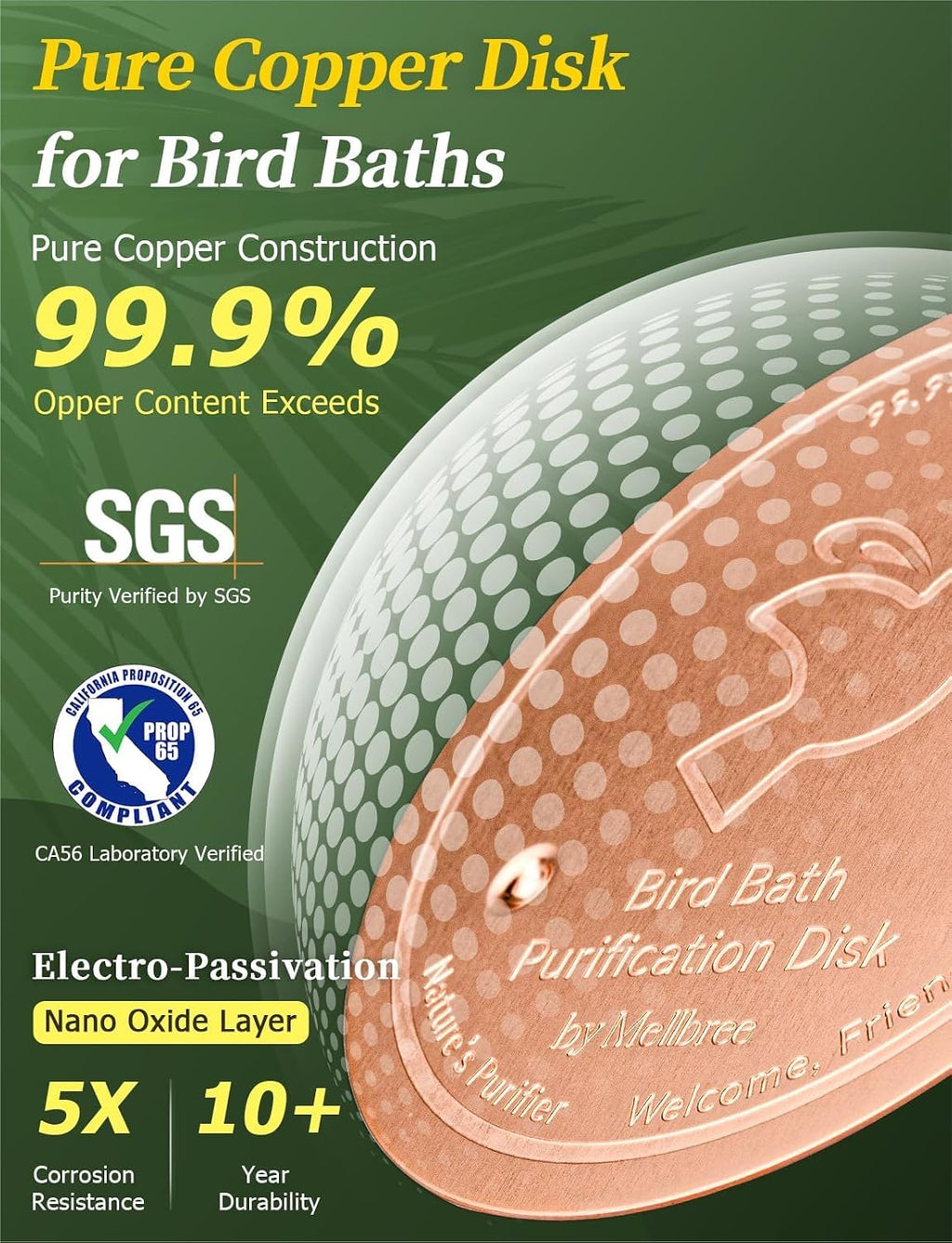 Bird Bath Copper Disc, 0.6mm Reinforced 99.99% Pure Copper Cleaning Disk for Physical Safe Clean Water All-Season