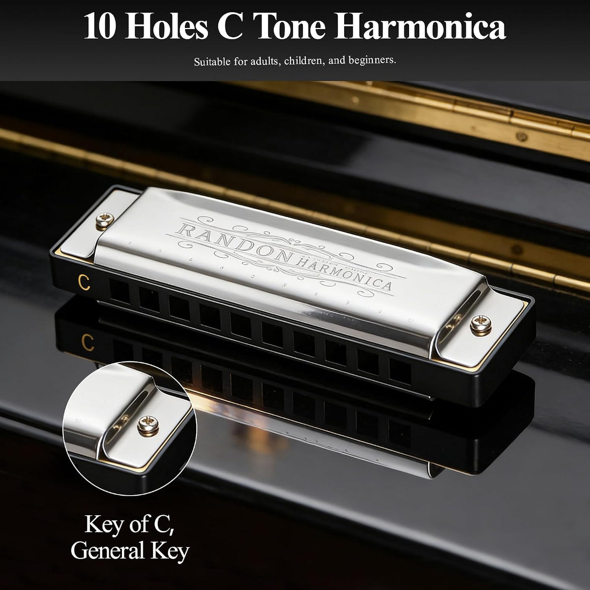 Silver Harmonica Key of C with Case, 10 Holes 20 Tones Diatonic Harmonicas Mouth Organ, Blues Harmonica for