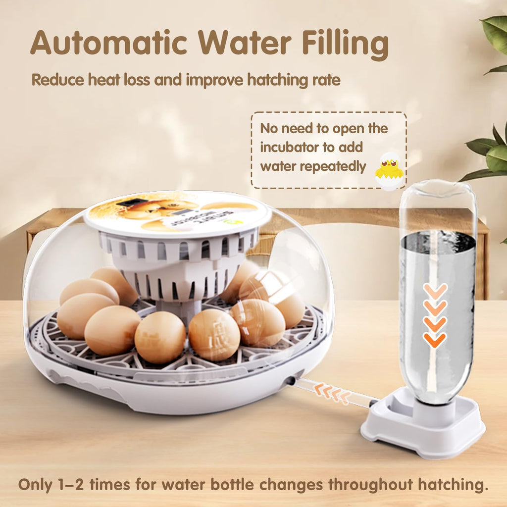Incubators for Hatching Eggs Quail Egg Incubator 12 Eggs with Automatic Egg Turning and Humidity Control 360° Viewing