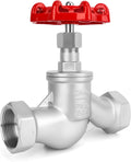 1-1/2" NPT S-Type Wye Pattern Globe Valve, Stainless, Female Thread, DN40