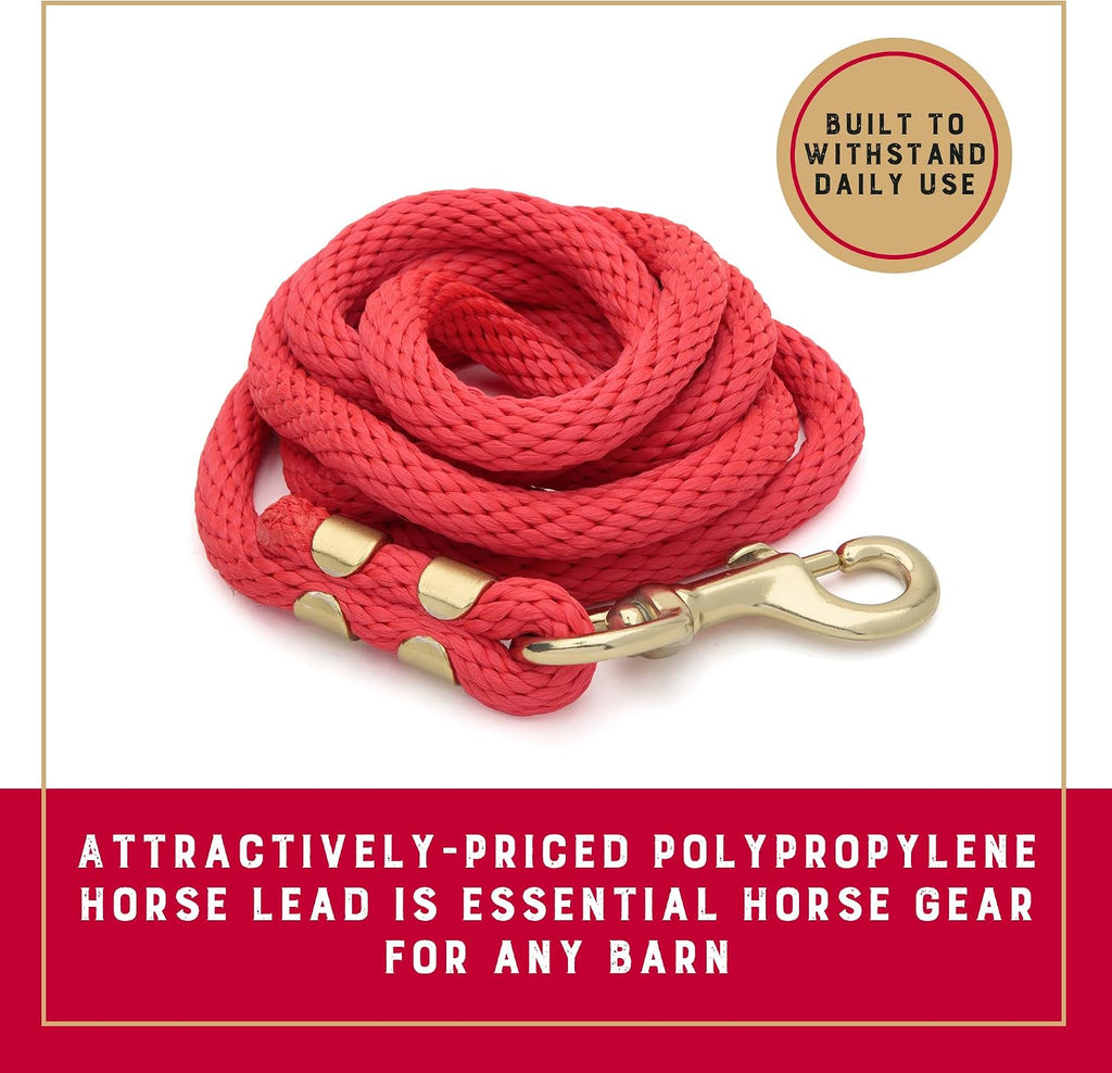 8' Horse Lead Rope with Brass-Plated Snap