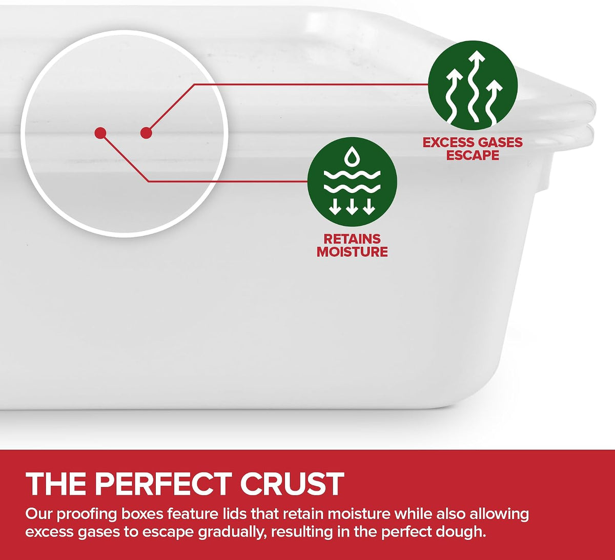 Dough Proofing Container with Lid (2 Pack) Homemade Bread and Pizza Dough Storage Box for Proofing