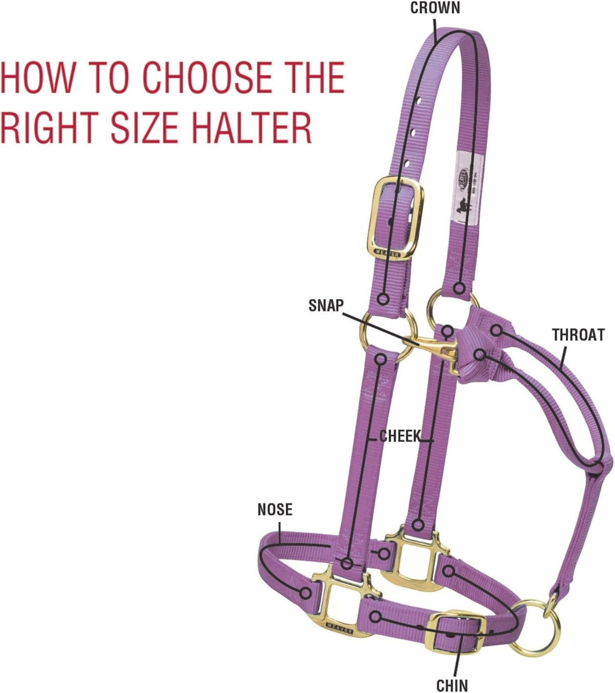 Weaver Leather Original Non-Adjustable Nylon Horse Halter