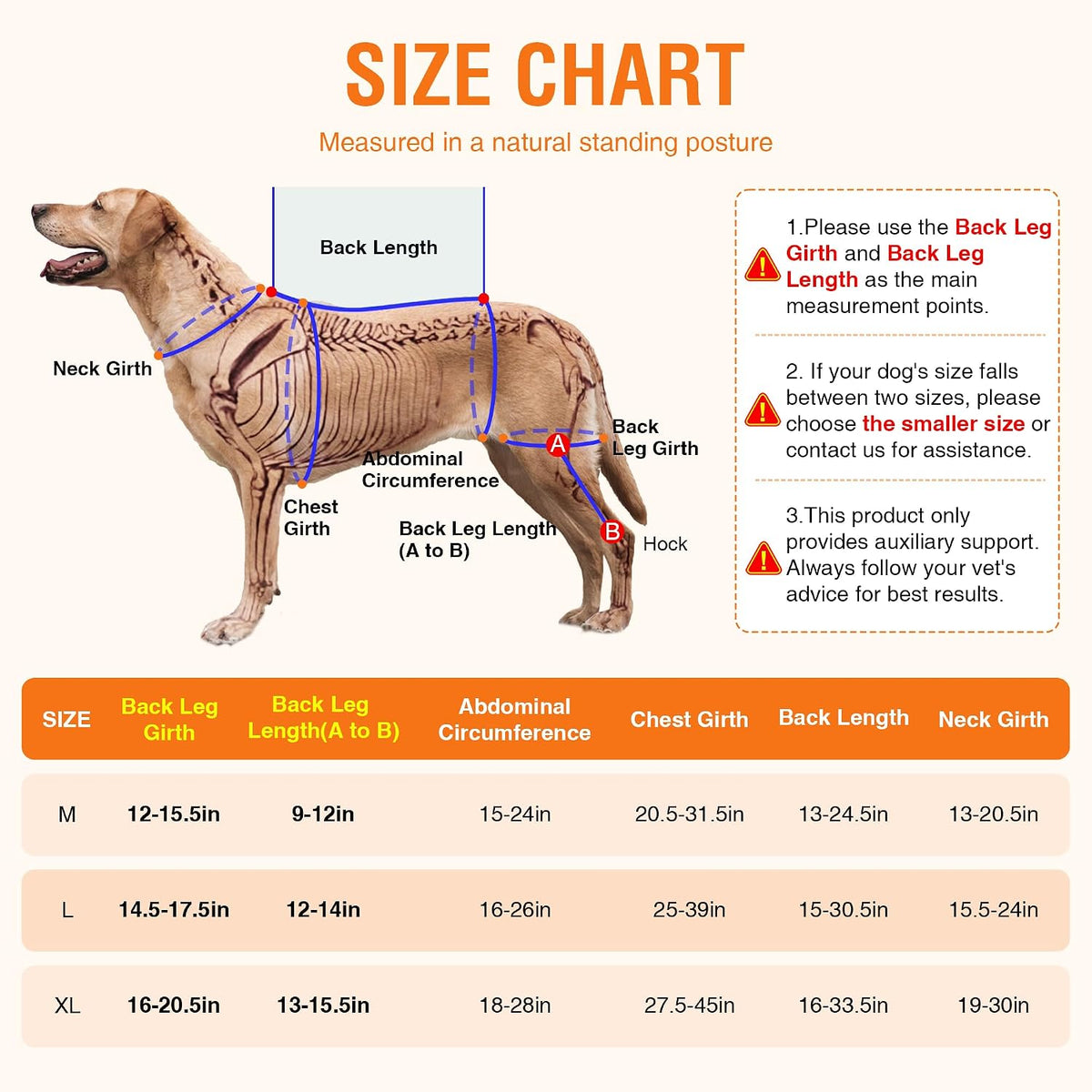 Dog Knee Brace XL, Hind Leg Support with Hot & Cold Gel Pack