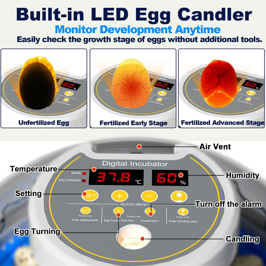 32 Quail Egg Incubator for Hatching Eggs, Dual Power Supply, Automatic Egg Turner, Humidity & Temperature Monitor