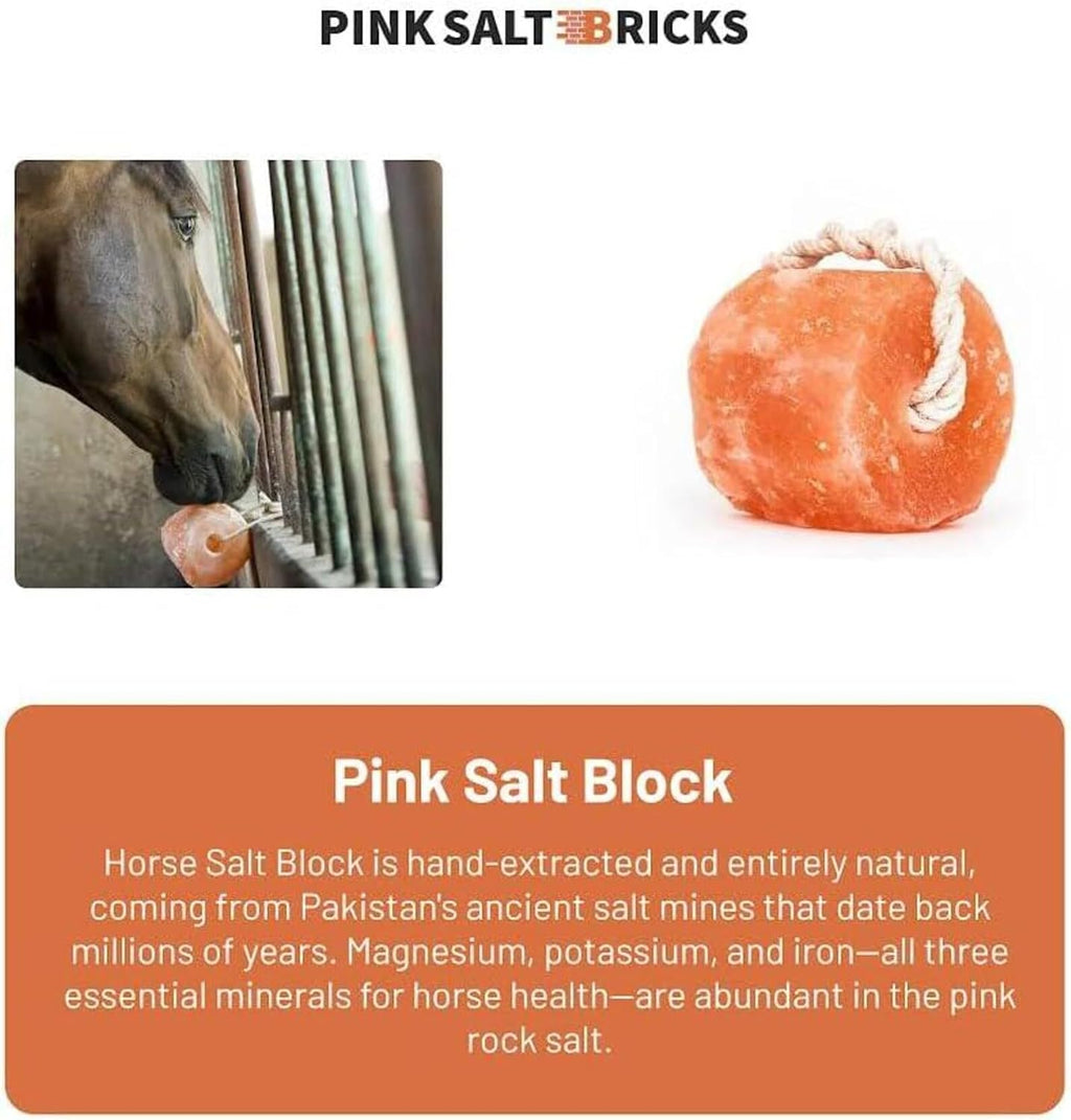 Himalayan Salt Lick for Horses & Livestock with Rope, Natural Mineral Salt Block, 3–4 lbs Each, 4 Pack for Horses