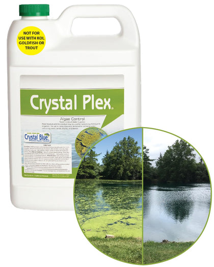 Crystal Plex - Lake and Pond Algaecide Treatment - Liquid Copper Algaecide Kills and Prevents Various Types of Algae