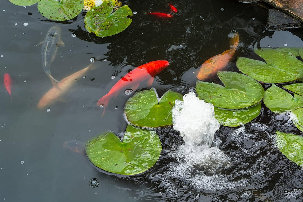 Pond Liner 20 Mil, 10 x 15 FT Koi Fish Pond Liner, Heavy Duty