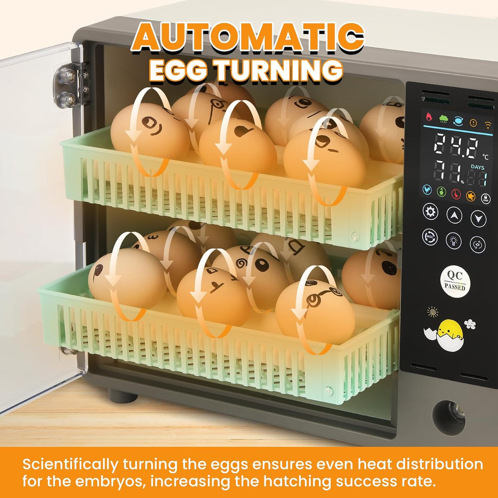 Cabinet Incubators for Hatching Eggs, 24 Egg Incubator