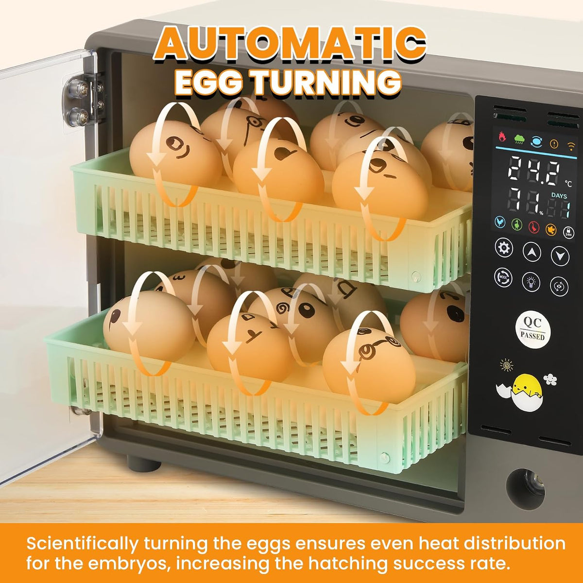 Cabinet Incubators for Hatching Eggs, 24 Egg Incubator