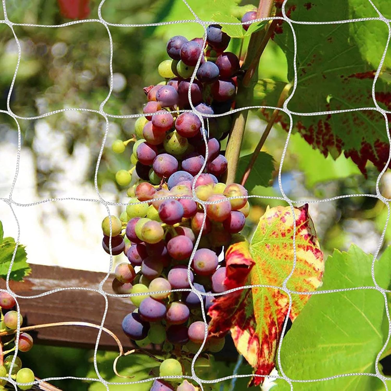 Heavy-Duty Polyester Plant Trellis Netting 5 x 30ft (1 Pack)