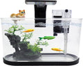 2 Gallon Fish Tank Kit, Small Aquarium Starter Tank with Filter and Light