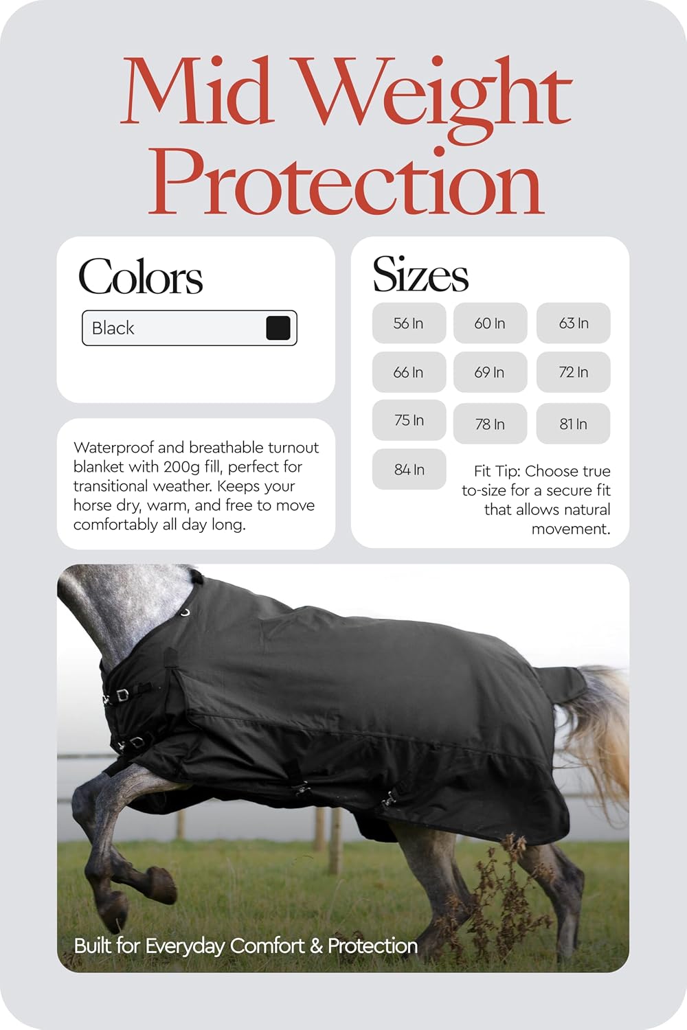 Nevada Medium Weight 1200D Waterproof Horse Turnout Blanket (200g Fill) - Black - 72 in