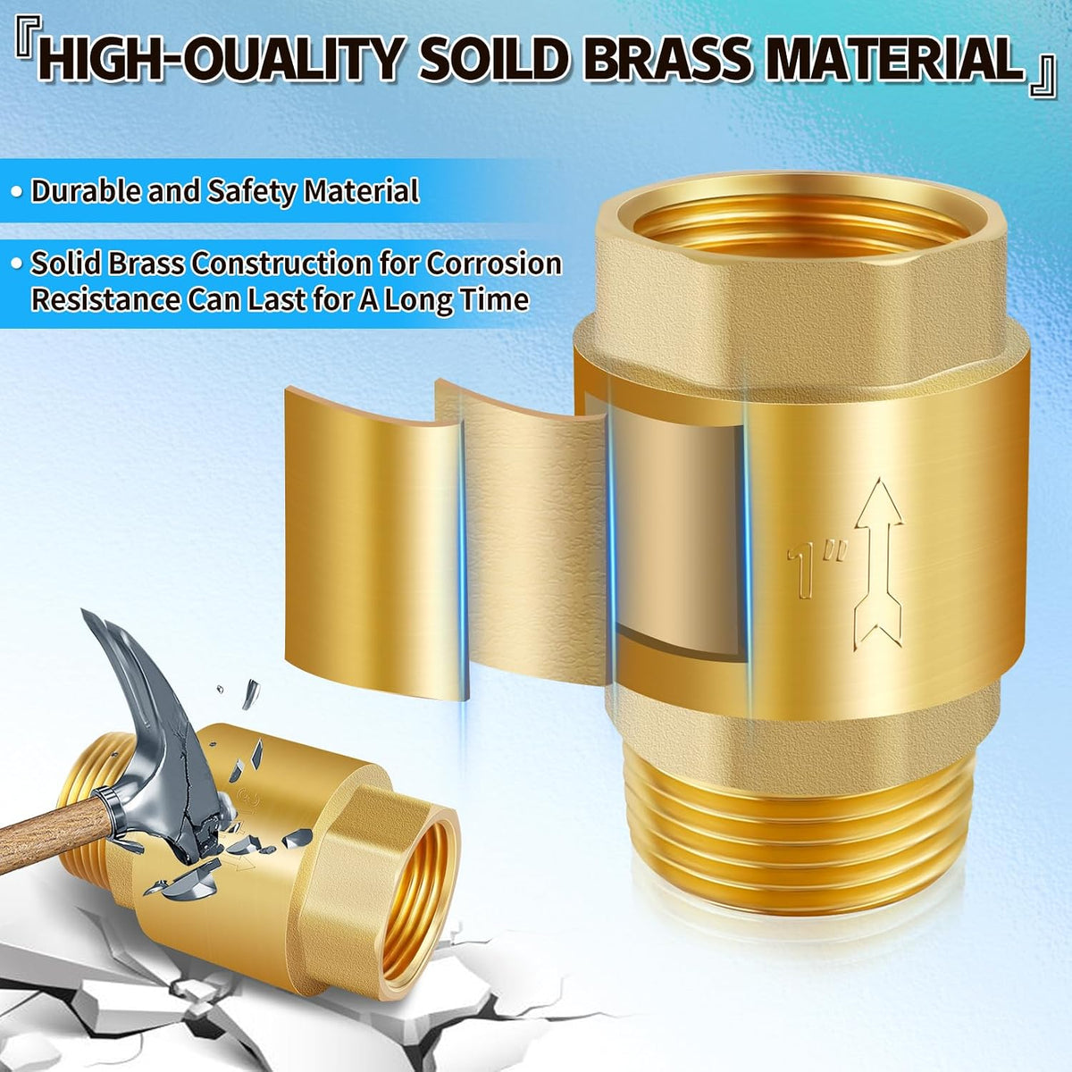 Boltigen 1" Brass Check Valve, NPT Spring One-Way Backflow Preventer