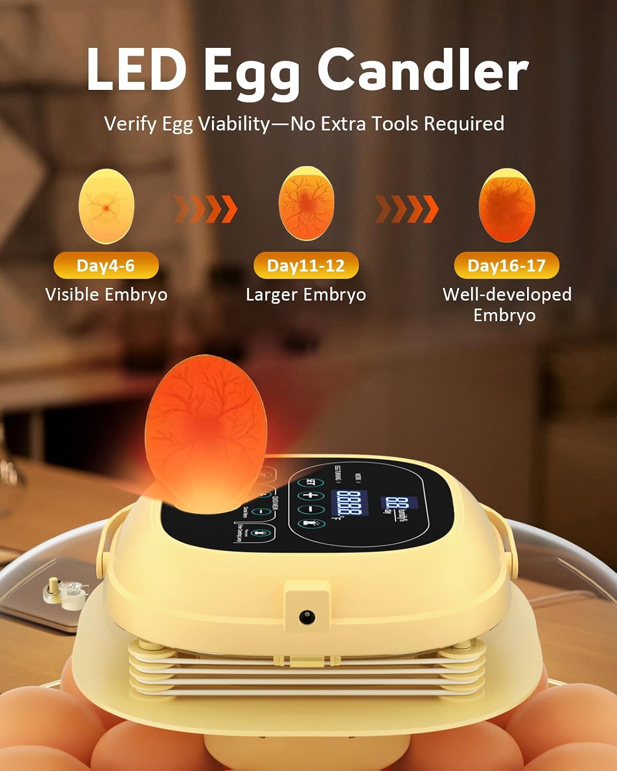 18 Egg Incubator for Hatching Eggs with Automatic Turning, Digital Temperature & Humidity Control, Built-in Egg