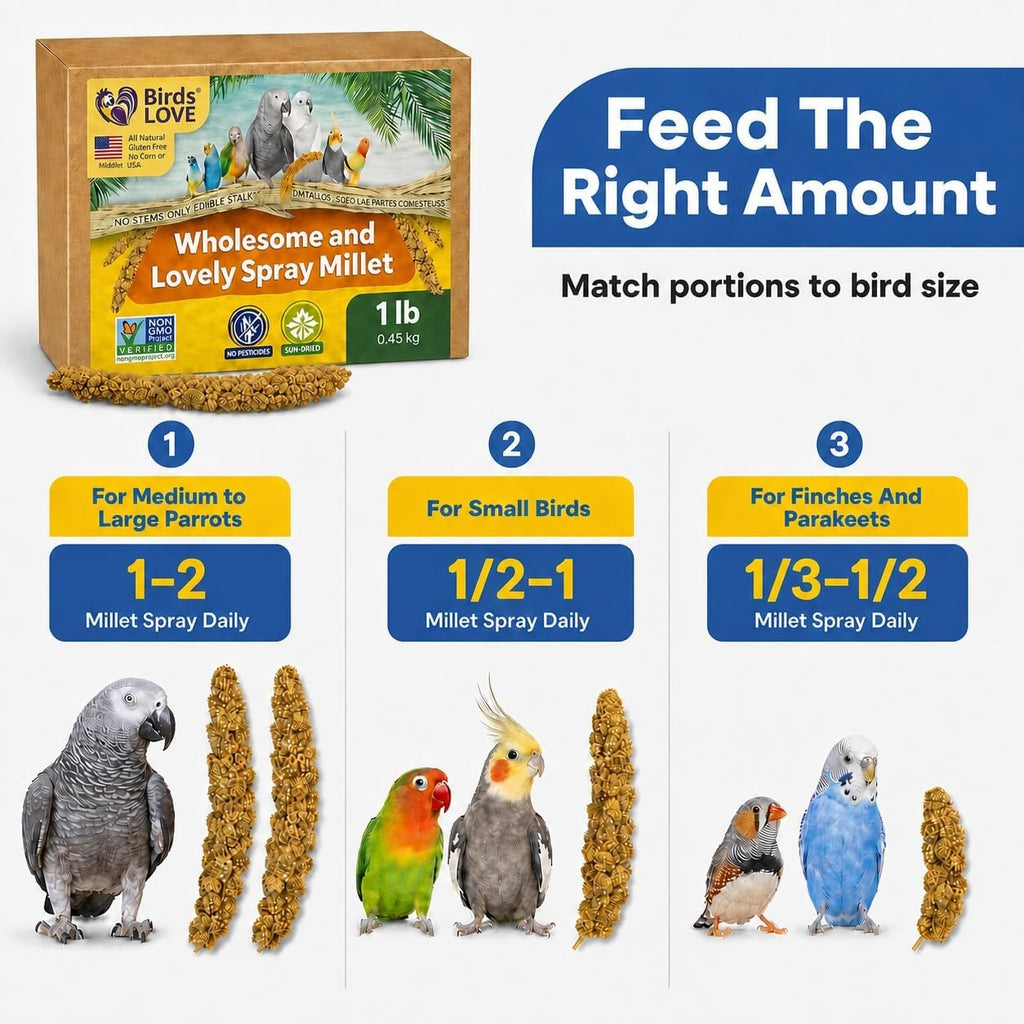 1 LB Wholesome Spray Millet for Birds – USA Grown, Non-GMO,Natural Sun-Dried Millet Sprays – Thick Seed-Rich Clusters