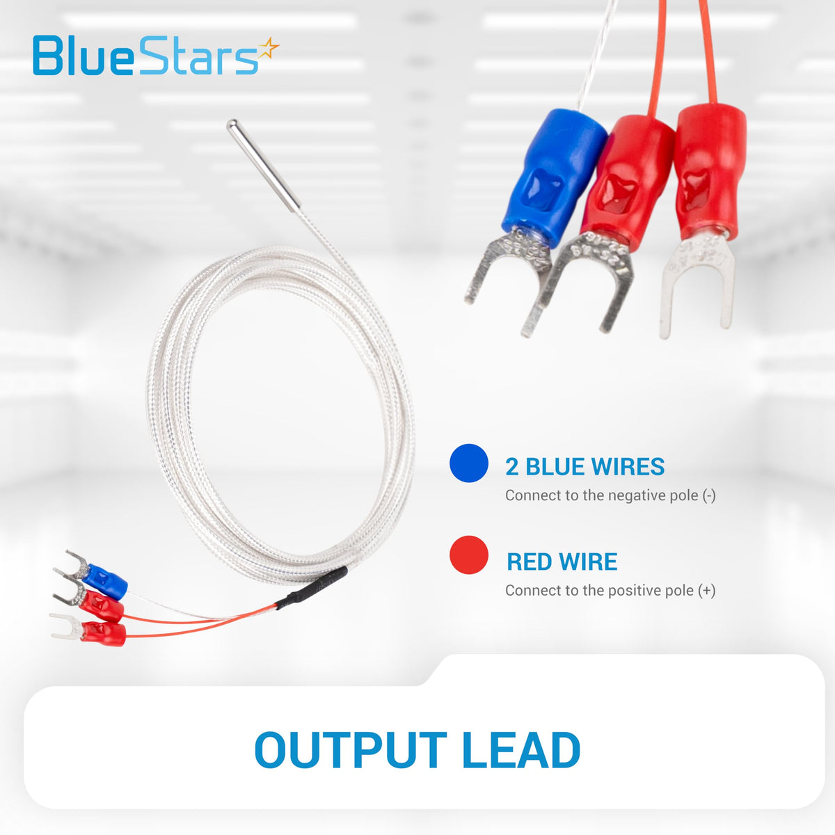 BlueStars PT100 3-Wire (4×30MM) Waterproof Temperature Sensor Probe 6.6Ft