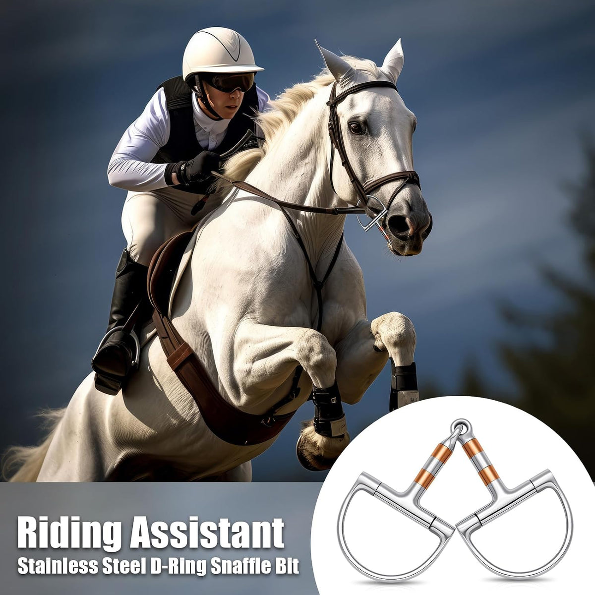 Stainless Steel Ring O & d Snaffle Bit for Horses