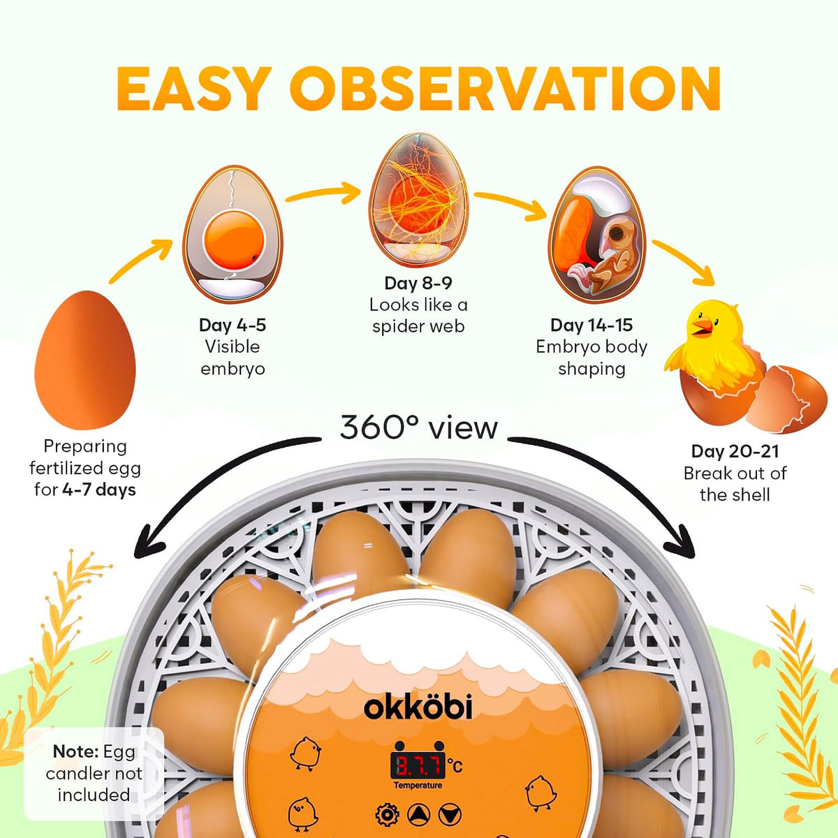 M12 Egg Incubator with Automatic Turning and Humidity Control, 12-24 Eggs