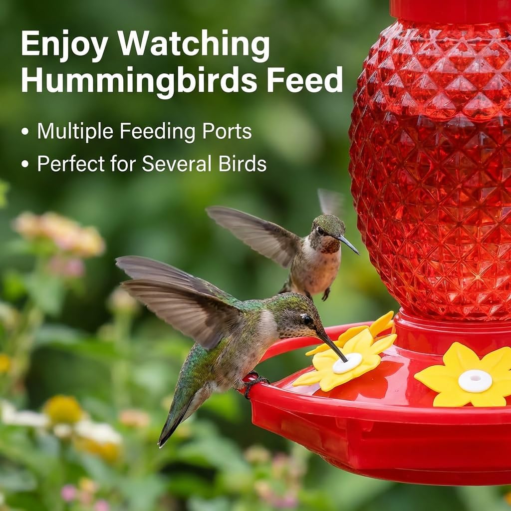 Glass Hummingbird Feeders for Outdoors Hanging 16oz 2 Pack Red Pineapple Bee & Ant Proof 360°Perch Leakproof Easy