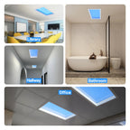 2x1 Ft Artificial Skylight Ceiling Light, Dimmable