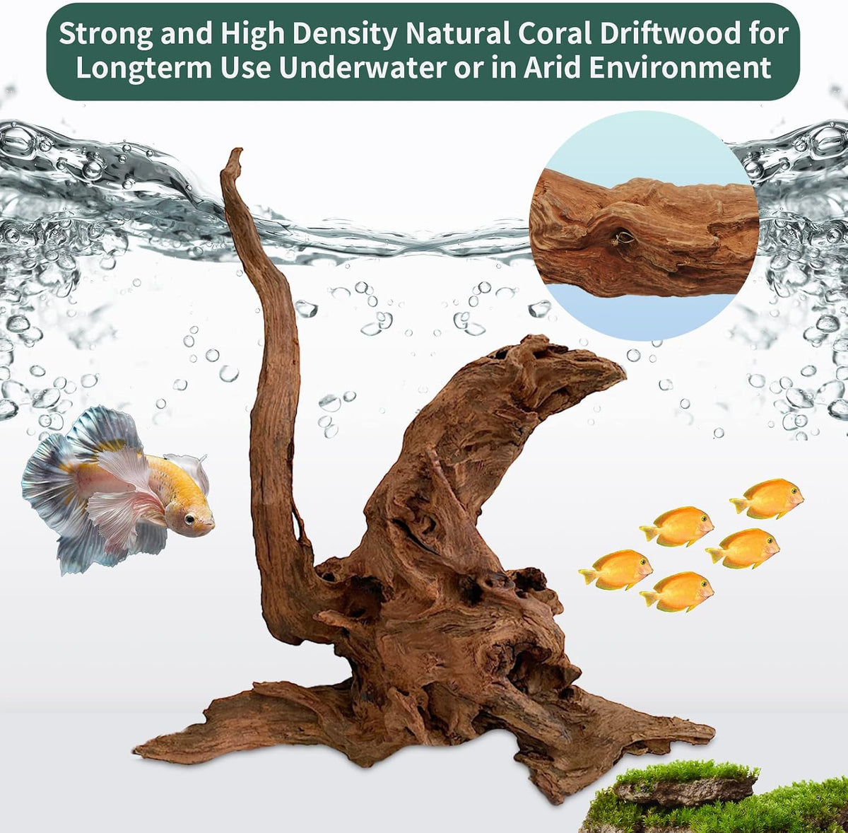 5 Pcs Driftwood Branches 5.5"-8.6" Aquarium Wood Decoration