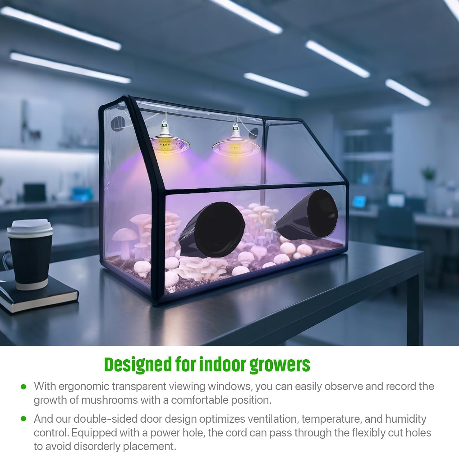 Large Still Air Box Mushroom Grow Set Mycology Propagation Box