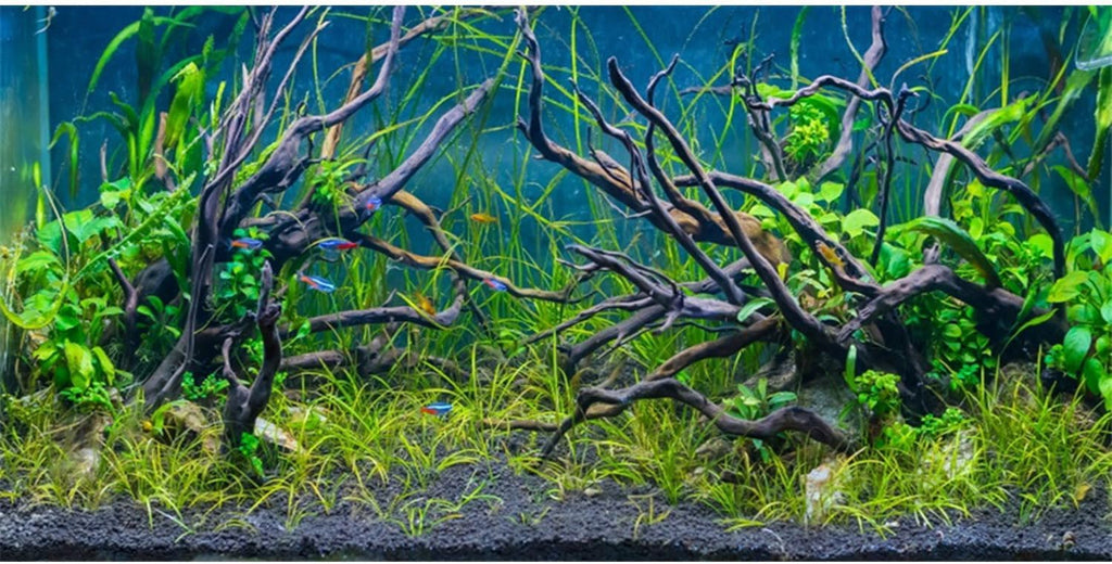 48x24 inches Tropical Fish Tank Background Aquatic Plant Aquarium Backdrop