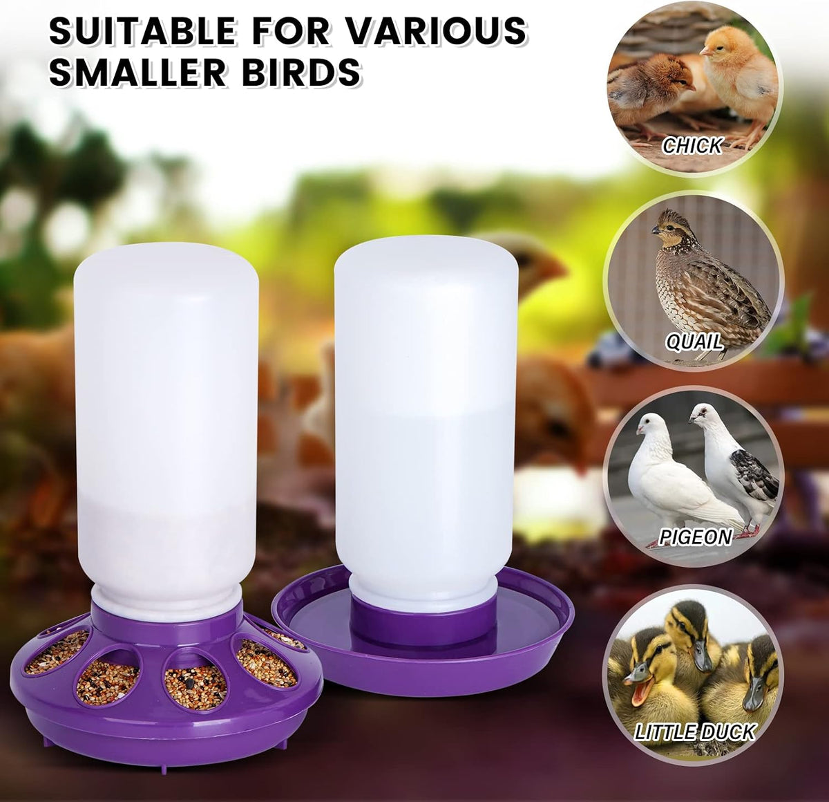 Chick Feeder and Waterer Set no Waste Chicken Water Dispenser 1L Chicken Water Feeder Poultry Waterer Baby Chick