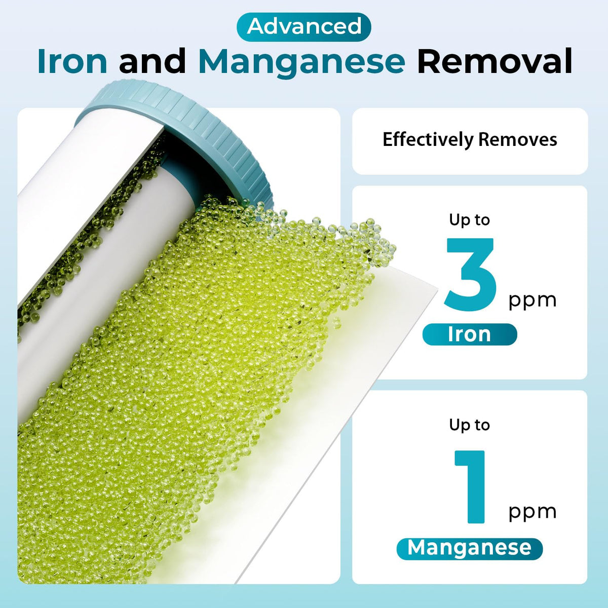 WGB32BM Iron, Manganese Whole House Water Filter System