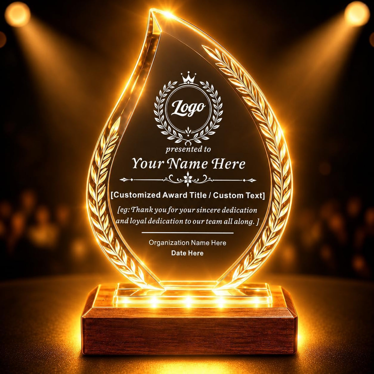 SHIP NEXT DAY, Custom Crystal Trophy Award, Engraved Plaque with LED Base