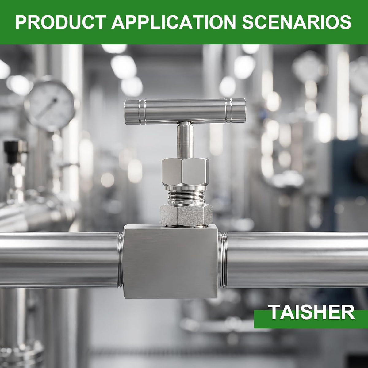 TAISHER 1PCS 304 SS, 1" FNPT x MNPT, High Pressure Straight Needle Valve