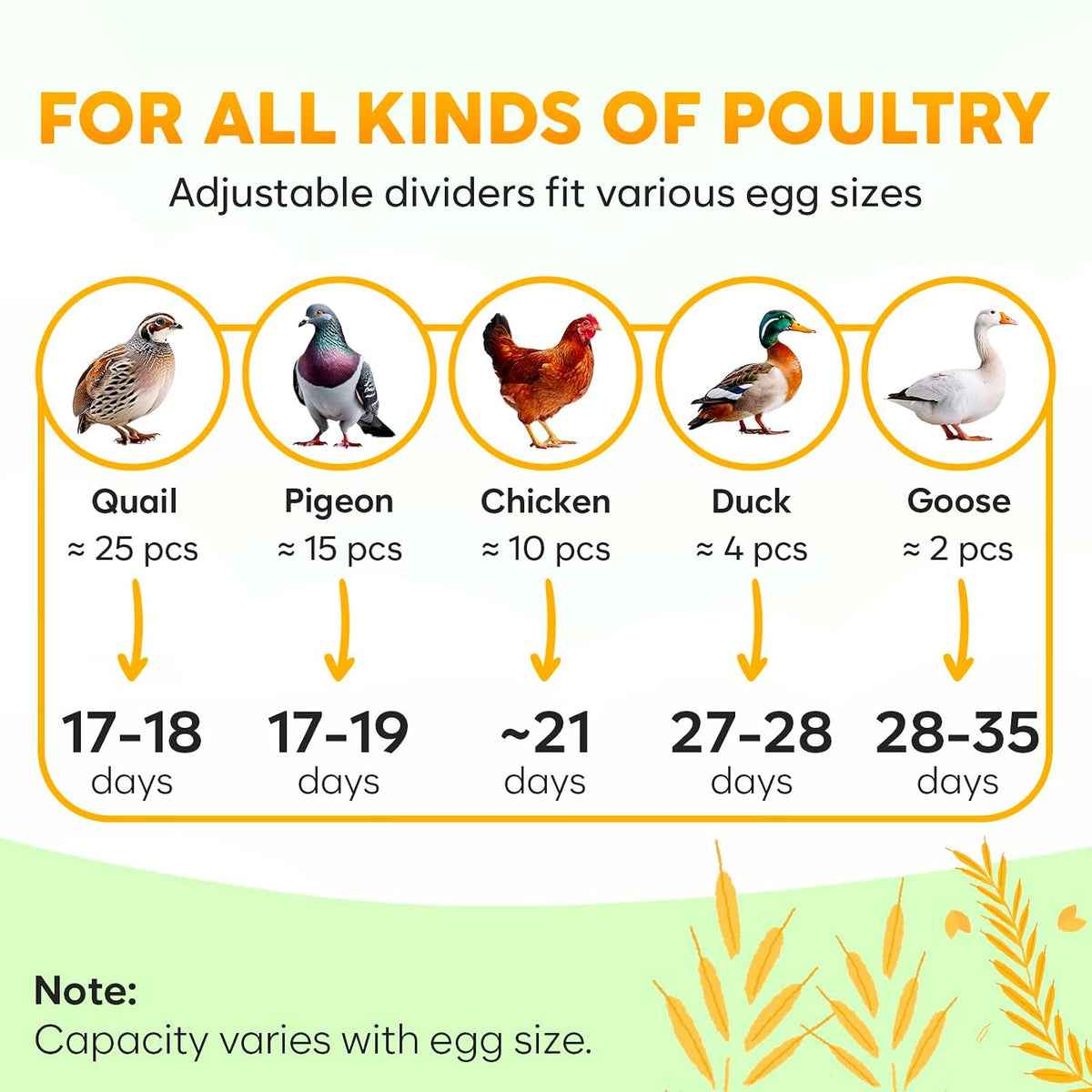 M12 Egg Incubator with Automatic Turning and Humidity Control, 12-24 Eggs