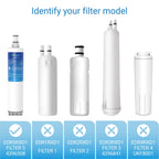 EcoAqua 4396508 Water Filter, Replacement for Everydrop Filter 5