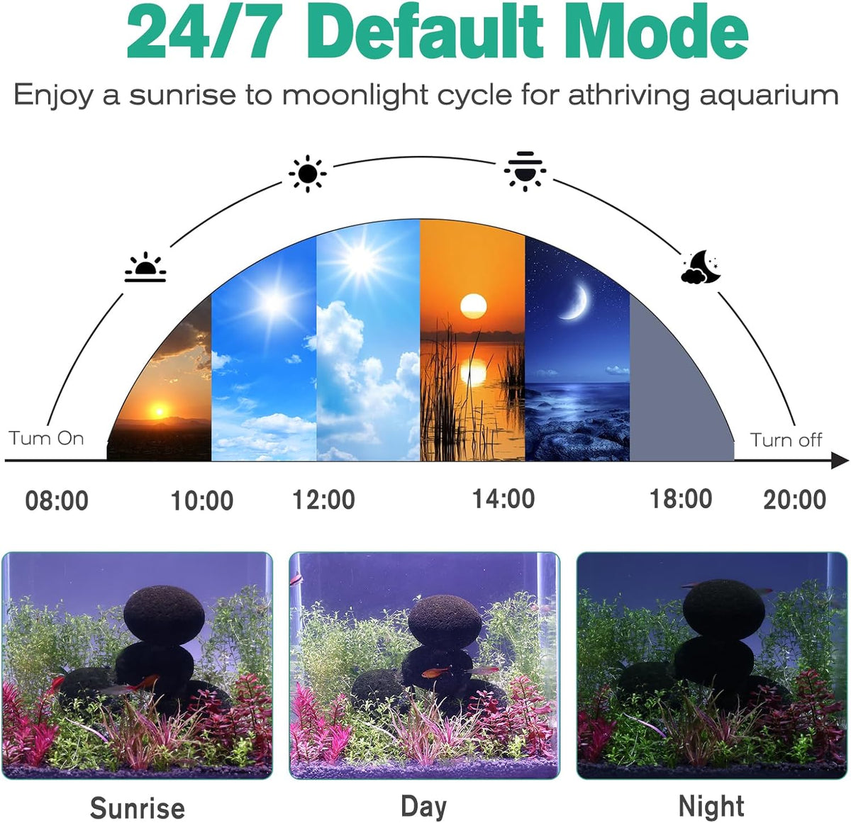 Clip On LED Aquarium Light, 24/7 Cycle Fish Tank Light with Timer