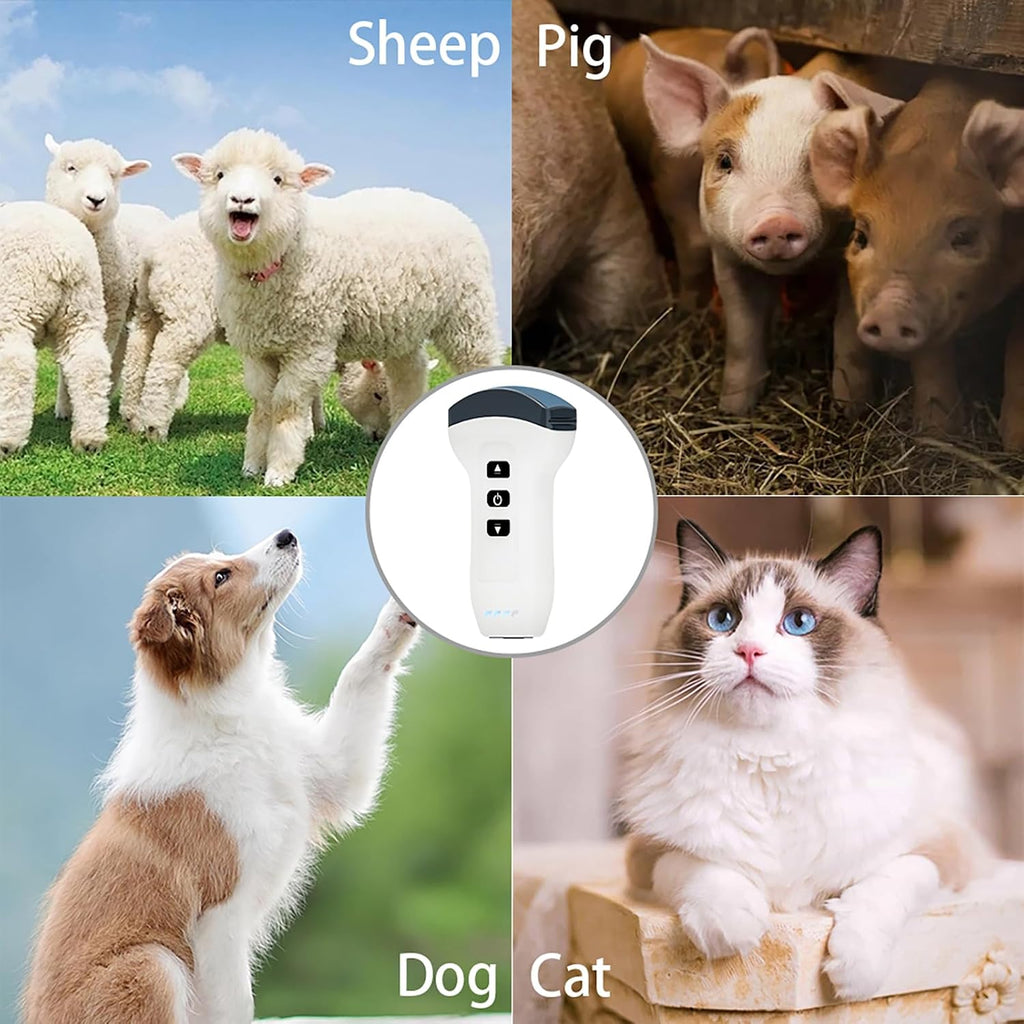 Convex Probe Veterinary Color Doppler Ultrasound Machine, Wireless Handheld Scanner for Pregnancy & Organ Exam in Dog