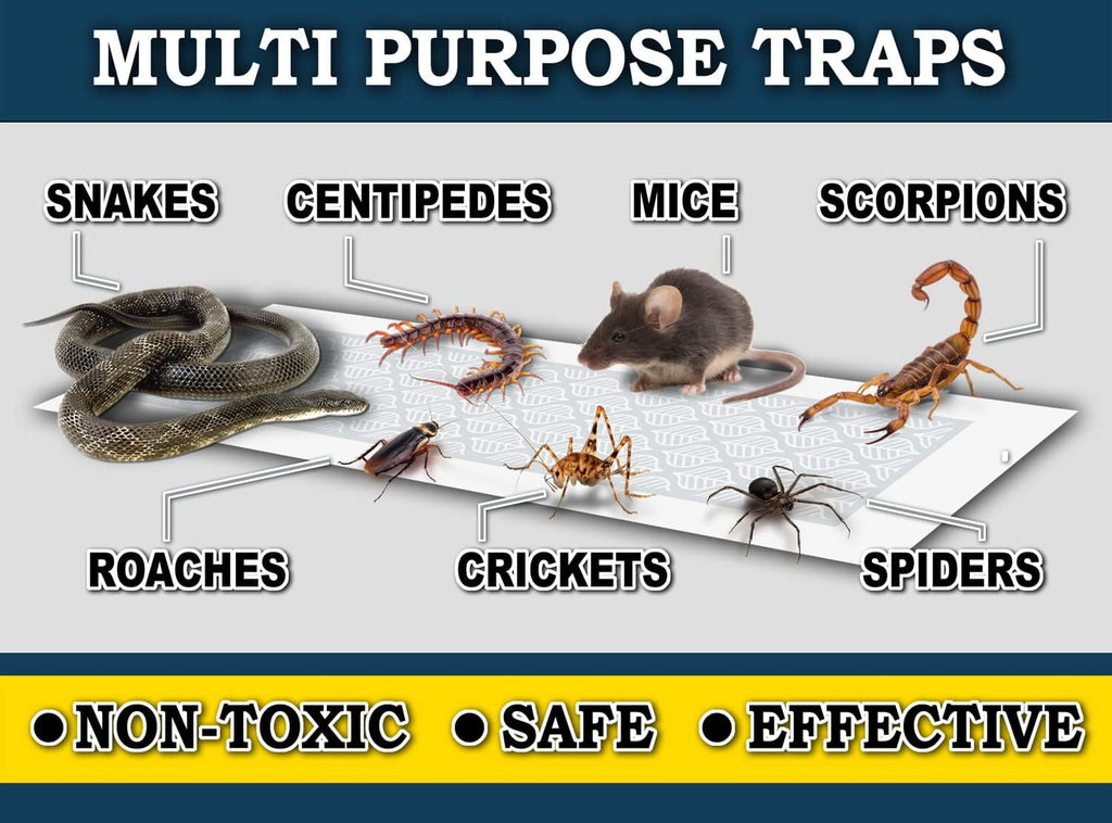 Glue Trap Strips (24 Traps) Non-Toxic Extra Sticky Glue Board Pre-Baited with Fruity Scent Attractant Trap & Kill