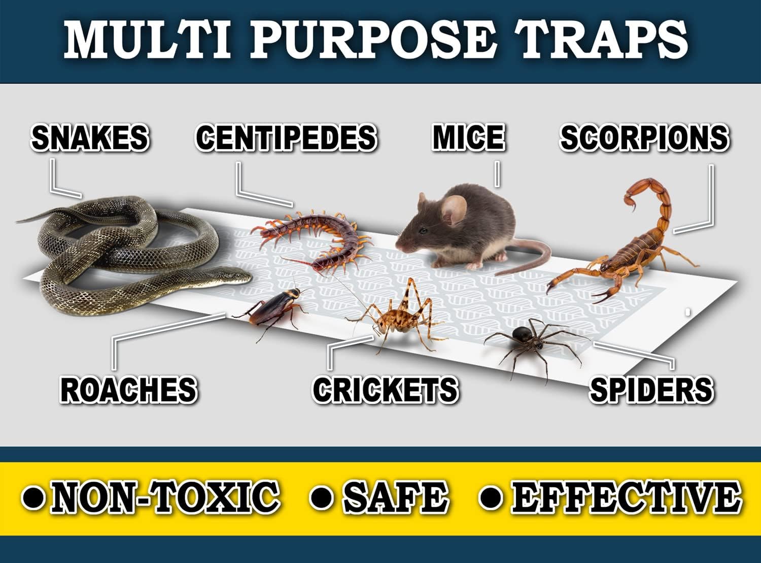 Glue Trap Strips (24 Traps) Non-Toxic Extra Sticky Glue Board Pre-Baited with Fruity Scent Attractant Trap & Kill