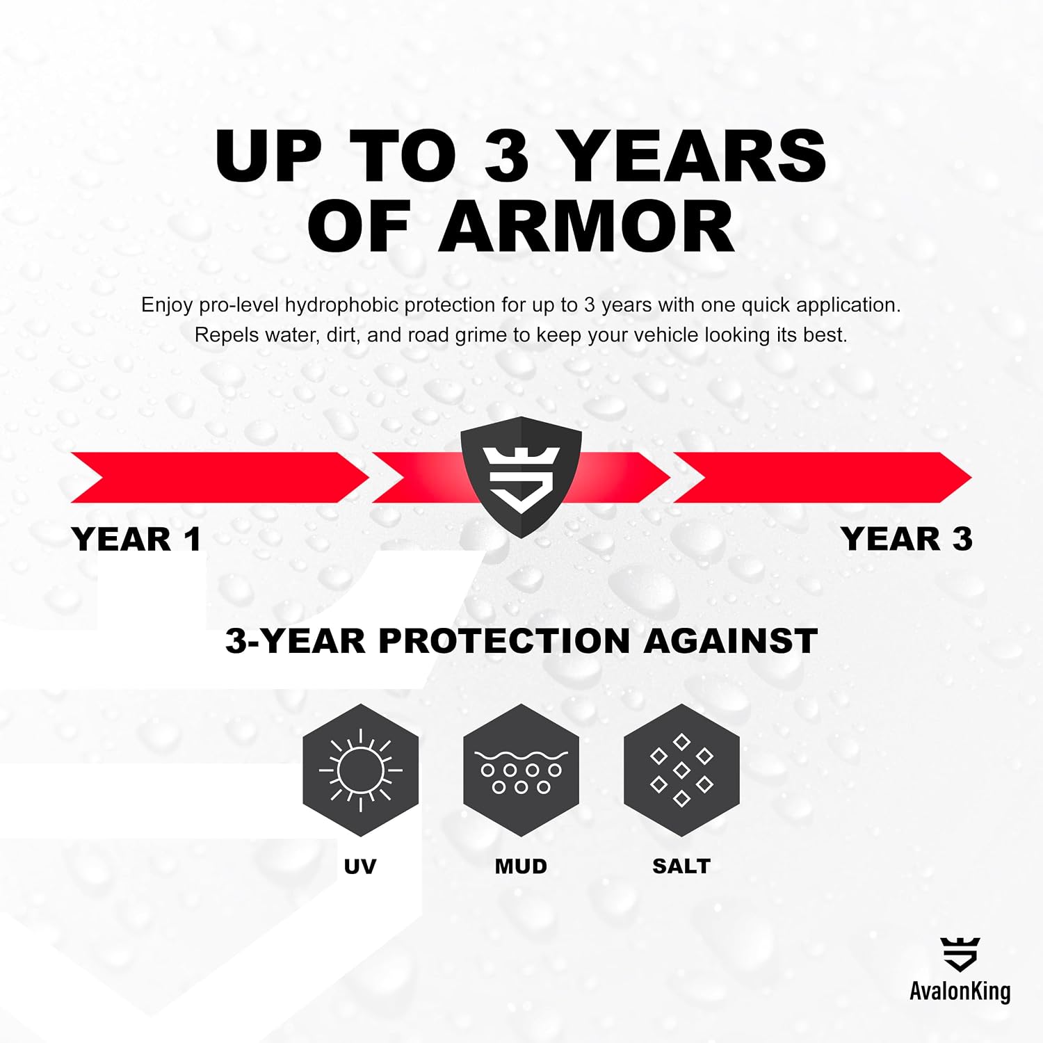 Armor Shield IX MAX DIY Ceramic Coating Kit | Clear Coat for Cars | Car Detailing Kit | Car Care Kit | Ceramic