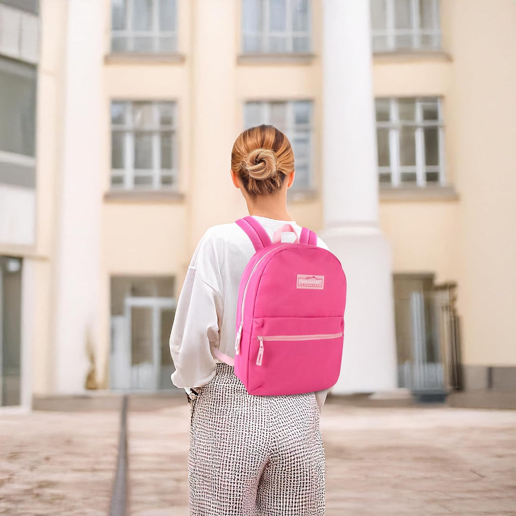Classic 17 inch Backpacks with Adjustable Padded Straps | School Backpacks for Girls, Boys (Pink)