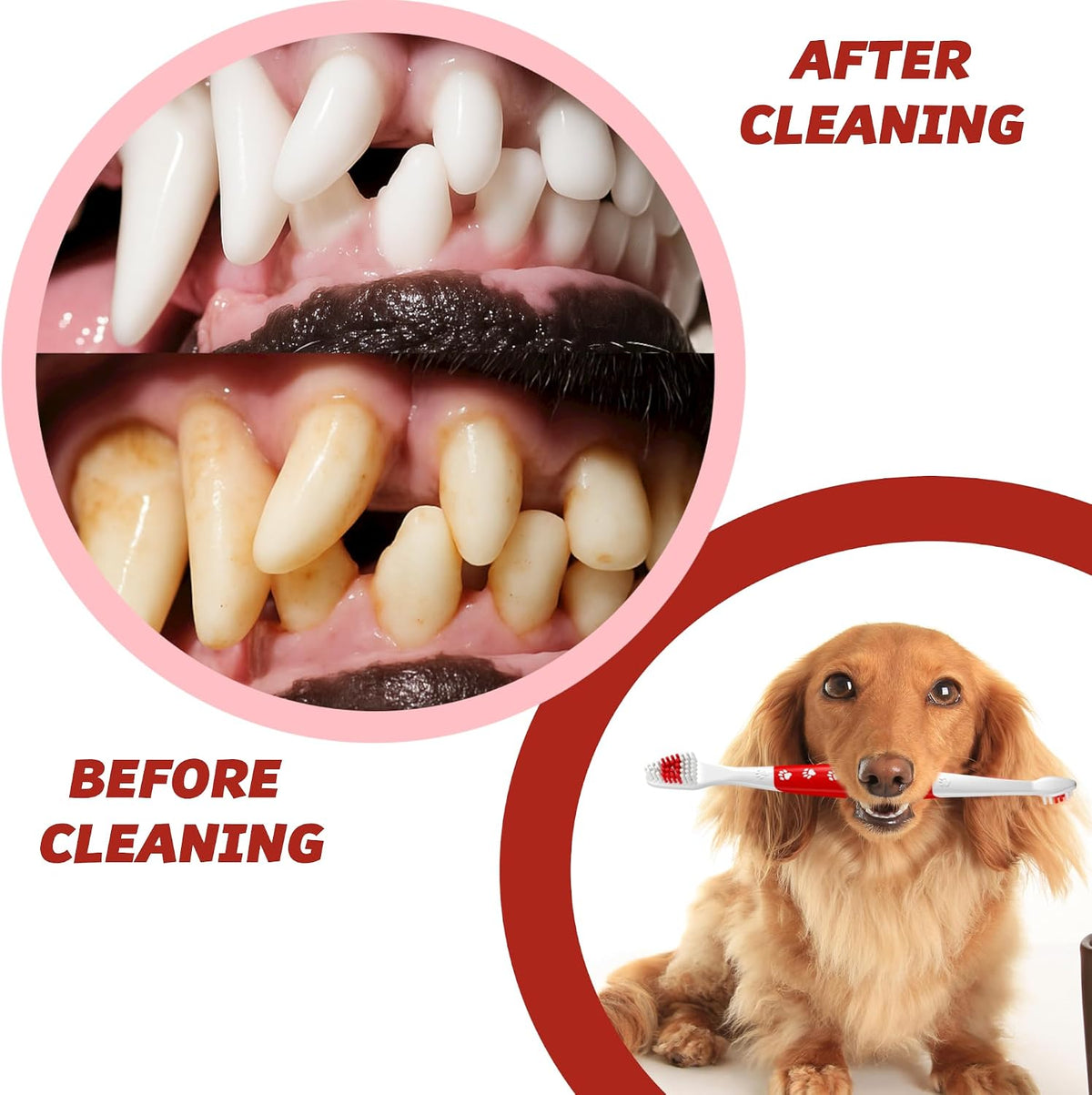 Pet Toothbrush for Dogs, Cats with Soft Bristles - Easy Teeth Cleaning & Dental Care, Non Slip Dual Head Dog