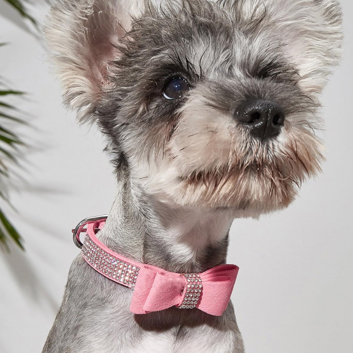 Pink Rhinestone Dog Collar with Bowknot, and Leash-Ready D-Ring