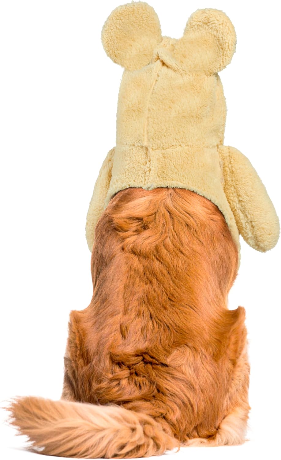 Walking Teddy Bear Pet Costume for Dogs or Cats, XXL
