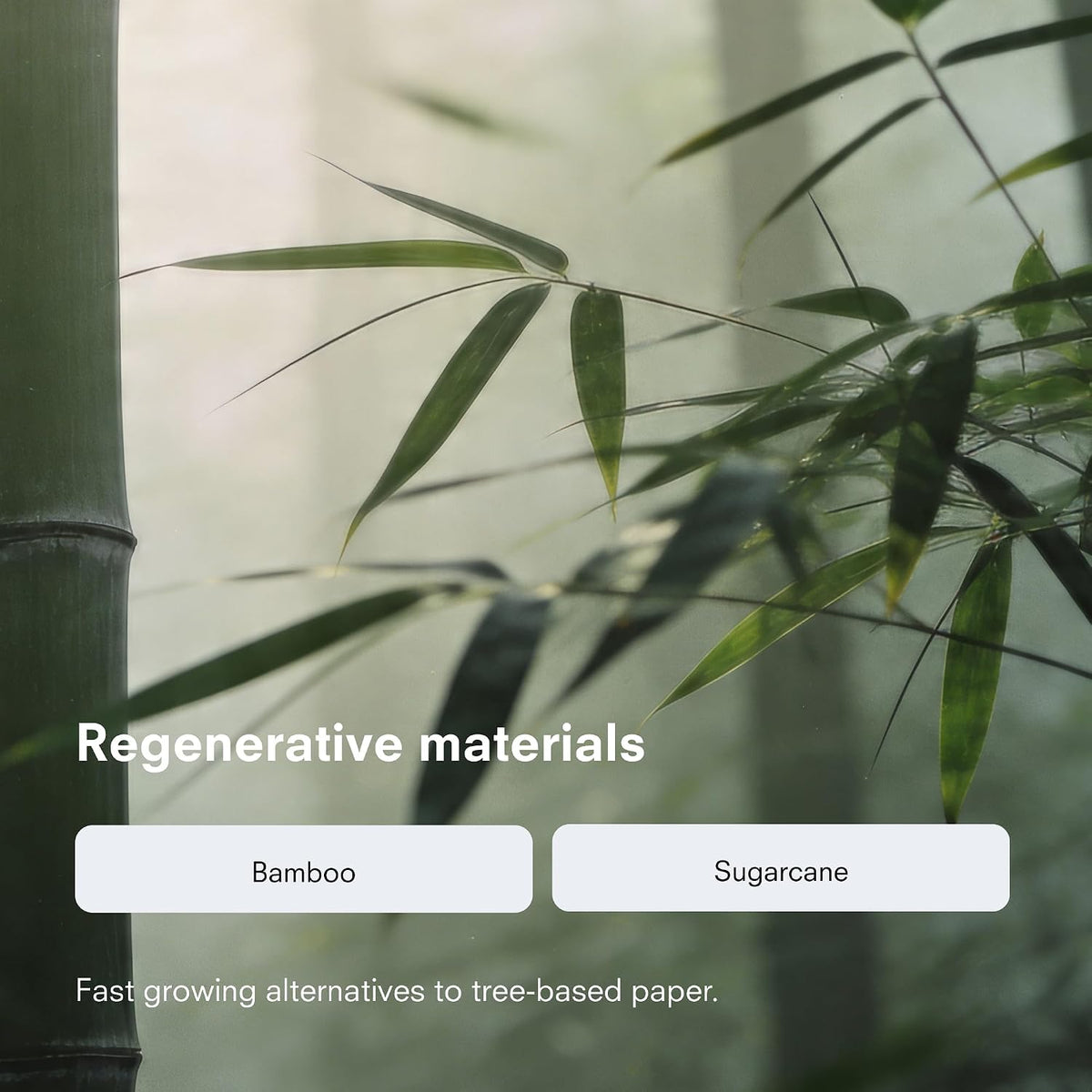Tree-Free Tissues | Bamboo and Sugarcane Facial Tissues | Soft 2-Ply Sheets for Sensitive Skin | Biodegradable