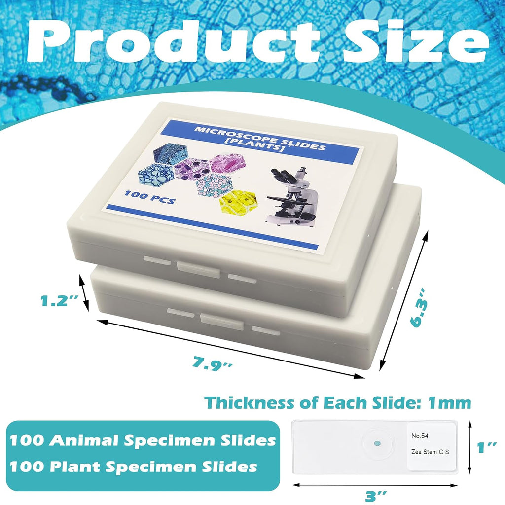 200 Packs Microscope Slides, 100 Plants & 100 Animal Tissues Includes Labels and Case for Biological Science Education